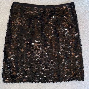 Ann Taylor Sequence Skirt  Size 6 petite
